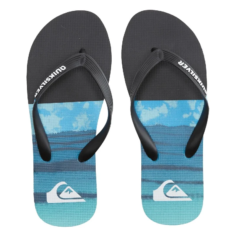 Men's sandals in a neutral color like black or brownQuiksilver Mens Molokai Panel Slip-On Toe-Post Flip-Flops