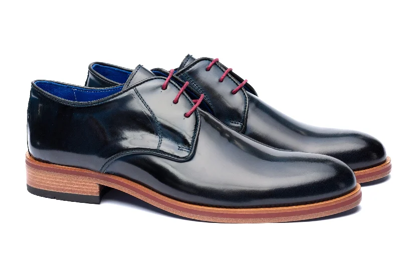 Men's formal shoes with a double monk strapThe Wellington Shoes - Navy